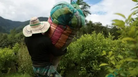 United States Designates the South American Nation as Failing to Cooperate in Narcotics Battle