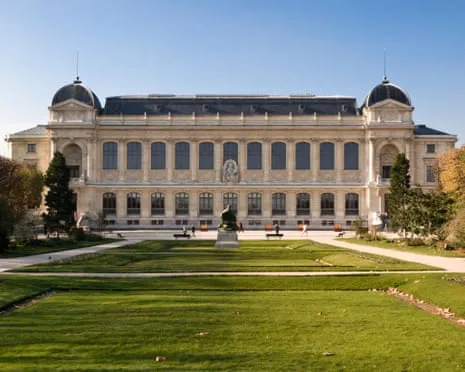 Historic Gold Samples Snatched in Bold Heist at French National Institution