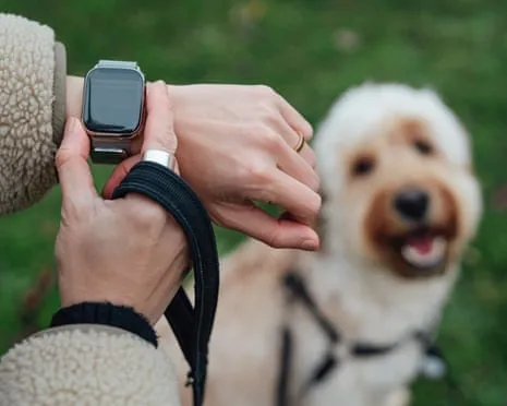The Truth Concerning Smartwatches? Daily Existence Feels Fuller Lacking a Hectoring Gadget on Your Wrist